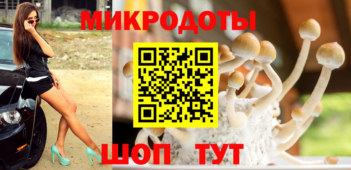 дарнет шоп  Вход с VPN  Мариинск  Галлюциногенные грибы Magic Shrooms 
